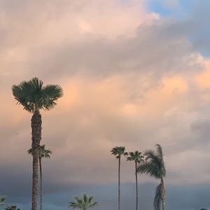 Meet your Posher, Hanna